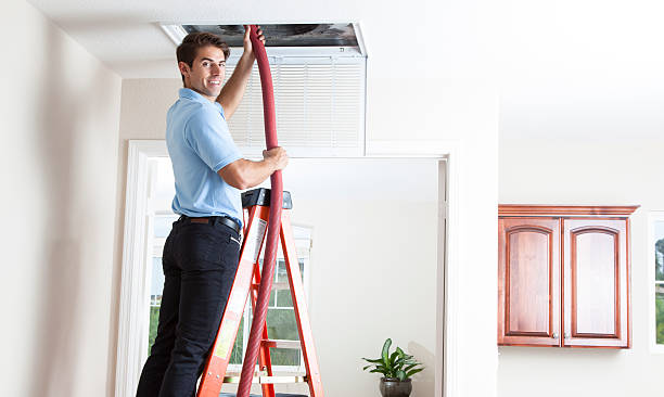 Best Air Duct Sanitizing Services  in Edgewater, CO